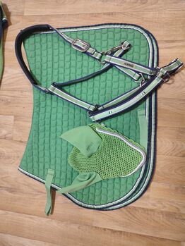 Eskadron set Grün, Eskadron  Eskadron , Petra R, Dressage Pads, Annaberg-Buchholz