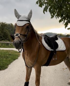 Eskadron Set, Eskadron  Schabracke , Anna, Dressage Pads, St. Georgen am Weinberg