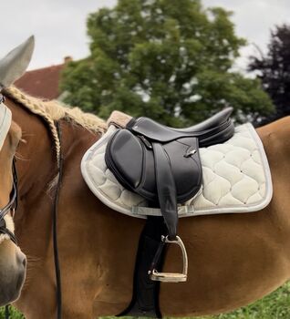 Eskadron Set Eskadron  Schabracke 