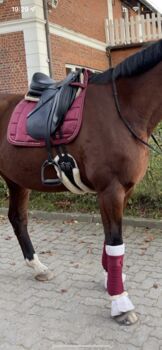 Eskadron Set WB/DL, Eskadron , Pia B., Dressage Pads, Ahrensburg 