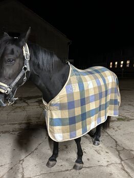 Eskadron Abschwitzdecke, Eskadron , Henriette , Horse Blankets, Sheets & Coolers, Naumburg (Saale)