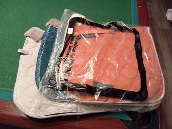 Eskadron Samtschabracken Eskadron  Dl Samtschabracken 