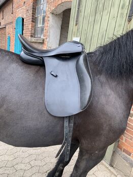 Euroriding Jade Dressursattel 17zoll, Euroriding  Jade, Jacky, Dressage Saddle, Wolfenbüttel 