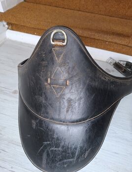 EURORIDING Leder Sattelgurt,Stollenschutz Euroriding Stollenschutz