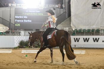 Ausnahme-Quarter-Horse Stute mit Top-Abstammung und Turniererfolgen