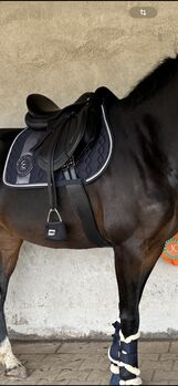 Vielseitigkeitssattel von JC Saddlery NEU 17,5 mit Zubehör, JC Saddlery  Vries Diamant , Susanne , All Purpose Saddle, Adelsdorf