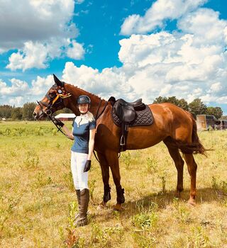 Kindergeeignete Vielseitigkeitsstute, Katharina Lehmann (Pferdevermittlung Leus), Horses For Sale, Latvia