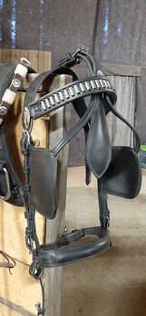 Fahrzaum WB, Kleene, Horse Harness, Auengrund
