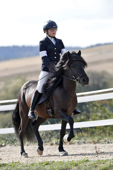 Toller Wallach - Hermes frá Feti, Kea Ristow, Horses For Sale, Reinheim