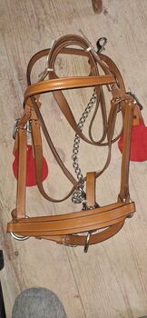 Vorfuhrhalter, Julien frossard, Halters, Les pommerats