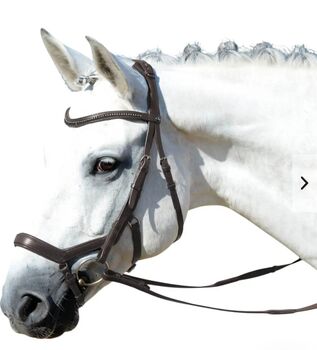 Trense "Feeling" von Busse - anatomisch, Busse Feeling, Theresa Baumann , Bridles & Headstalls, Trendelburg 