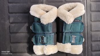 Felix Bühler Dressurgamaschen vorne WB Green Lake, Felix Bühler  Essential, Katja Presch, Tendon Boots, Sankt Koloman