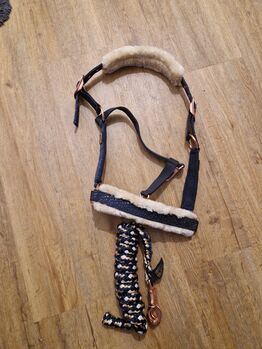 Felix Bühler Halfter + Strick, Felix Bühler, Jessica L, Halters, Arpsdorf