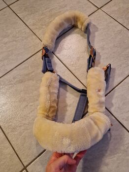 Felix Bühler Halfter Coin, Kim Prawalsky, Halfter, Wurzen