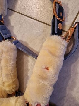 Felix Bühler Halfter Coin