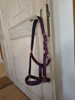 Felix Bühler Halfter Oriental Summer Lila Cob, Felix Bühler  Halfter Oriental Summer, Sarah, Halters, Eichstätt 
