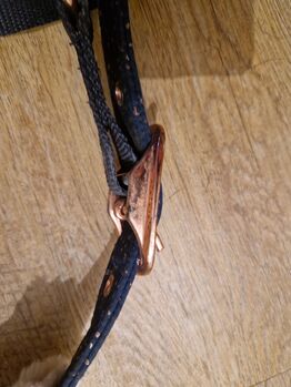 Felix Bühler Halfter + Strick Felix Bühler