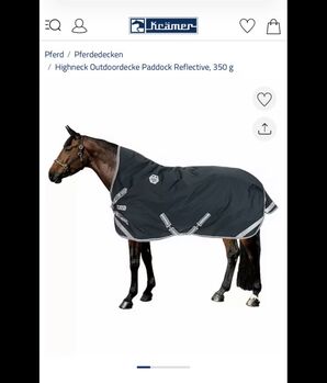Felix Bühler Highneck Outdoordecke Paddock Reflective, 350 g, 145, Felix Bühler, MR, Horse Blankets, Sheets & Coolers, Oelde