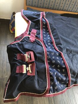 Felix Bühler Paddockdecke 145cm, Felix Bühler, Nancy , Horse Blankets, Sheets & Coolers, Dautphetal