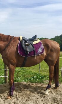 Felix Bühler Set Felix Bühler