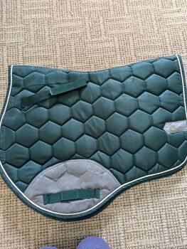 Felix Bühler Set, Felix Bühler , Sarah, Dressage Pads, Neustadt/Dosse, OT Leddin