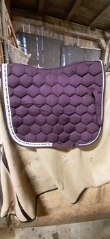 Felix Bühler Schabracke, Felix Bühler, Kleene, Dressage Pads, Auengrund