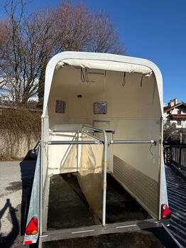 Wörmann Festival Wörmann  Festival 