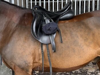 Fichtbauer Dressursattel 18 Zoll 33/34 KW, Fichtbauer  Paura, Fiona , Dressage Saddle, Berlin