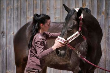 Physiotherapie für Pferde, Pferdephysio, Jennifer Kraft  (Physiotherapie Kraftpaket ), Terapia i leczenie, Rimbach