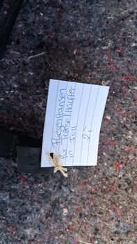 Fliegenfransen in Full