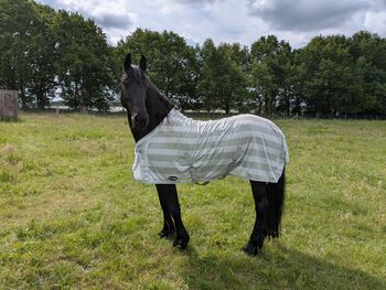 Fliegendecke 125, Henny, Horse Blankets, Sheets & Coolers, Kesselsdorf 