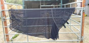 Fliegendecke Busse, Busse, Danny, Horse Blankets, Sheets & Coolers, Solingen 