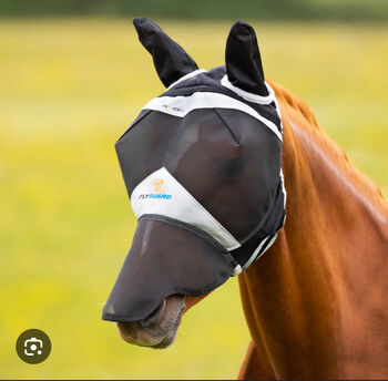 Fly mask with ears and nose net, Shires , Fiona Kennedy , Fliegenschutz, Gloucestershire 