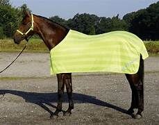 Fliegendecke neonfarbend, Busse Fliegendecke neongelb, Petra, Horse Blankets, Sheets & Coolers, Petershagen