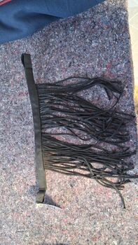 Fliegenfransen in Full, Melissa, Fly & Insect Control, Thedinghausen 