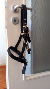 Fohlenhalfter, Marina Grochowski , Halters, Düsseldorf