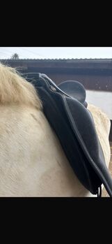 Verkaufe 17,5 Zoll Sattel