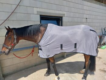 Verkaufe Back on Track Fliegendecke Buzter, Back on Track  Buzter, Pinzgauer, Horse Blankets, Sheets & Coolers, Weil am Rhein 