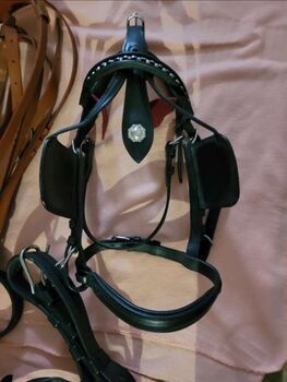 Verkaufe schönes Zweispännergeschirr, Jenny, Horse Harness, Perg