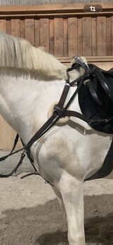 Forderzeug, Huber, Sonstiges, Mühlhausen 