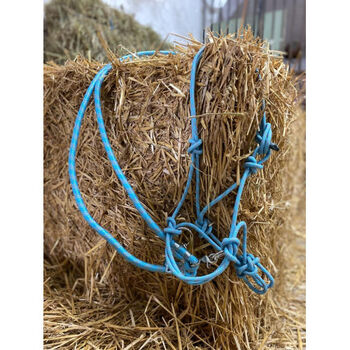 FREE RIDING Knotenhalfter + Zügeln ICY Knotenhalfter gebisslos UVP 39€, WOW Pferd  (WOW Pferd), Halters, Bayern - Attenkirchen