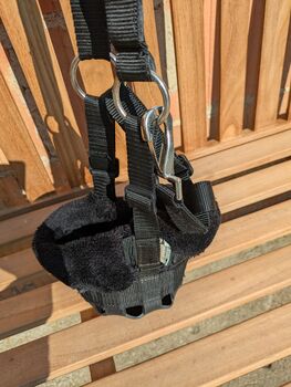 Fressbremse Shetty Waldhausen 