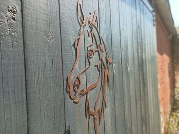 |Voll-|Teil-|Korrektur-|Problempferde-|Aufbau-|Ponyberitt|BERITTPLATZ|