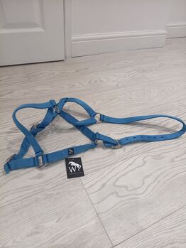 Full size whitaker head collar/halter brand new, Whitaker  HCW01FT, Robert Shippam , Halters, Warrington 