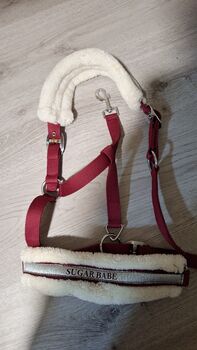Fellhalfter (Pink/Rot)