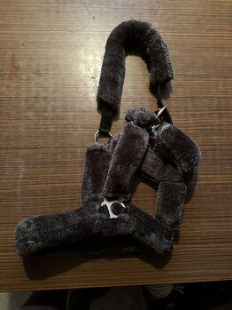 Fell Halfter Showmaster