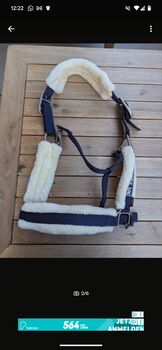Fellhalter Blau, BR, Beatrice , Halters, Basel 