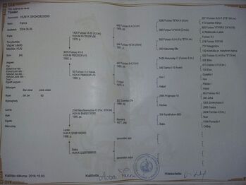 Furioso (Ungarisches Halbblut) Stute (Ungarn)