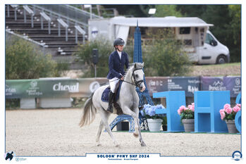 Futur Star Pony, Rosalie Lefebvre, Pferd kaufen, Laventie