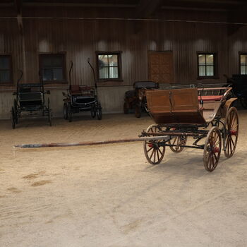 Gäuwägerl Originalzustand Ein/Zweispänner Historische Kutsche, Gäuwägerl, Niklas Jäger (2ndTrade e.K.), Carriages, Wolnzach